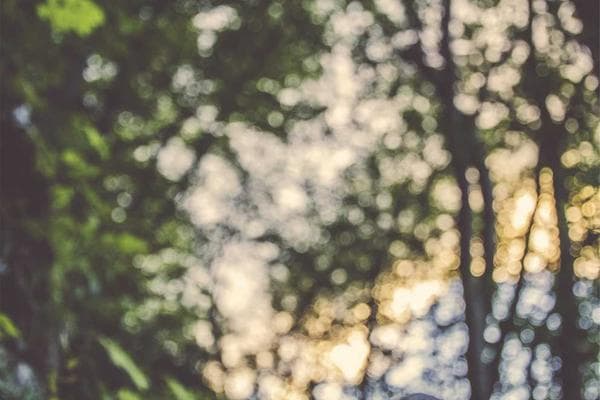 Uncompromising Quality